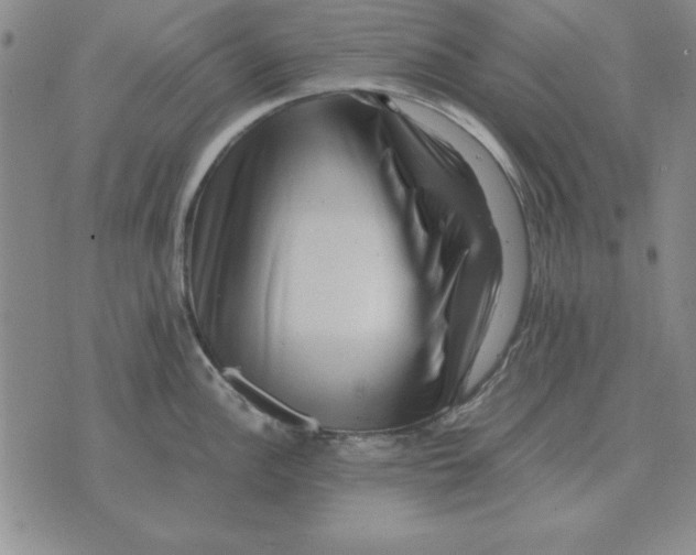 X0000071761148200607282141