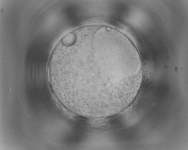 X0000071761150200607282141