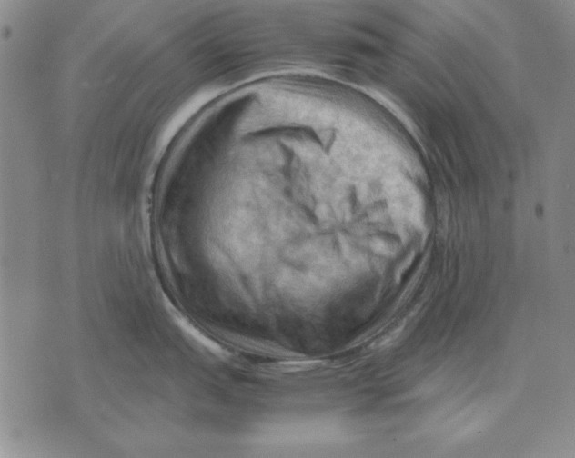 X0000071761151200607282141