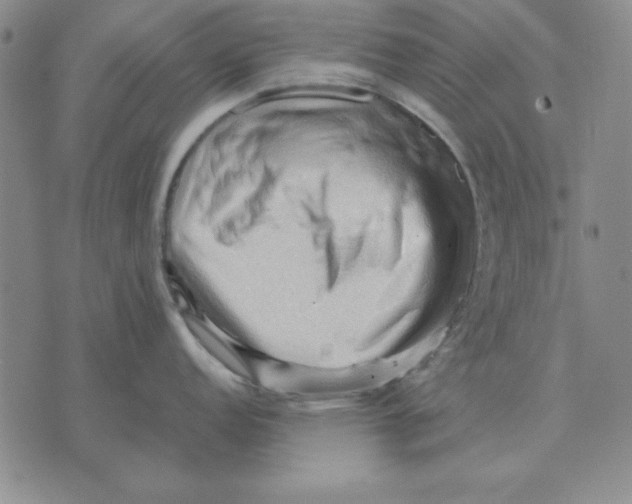 X0000071761152200607282141