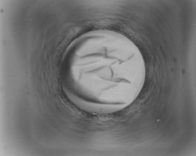 X0000071761153200607282141