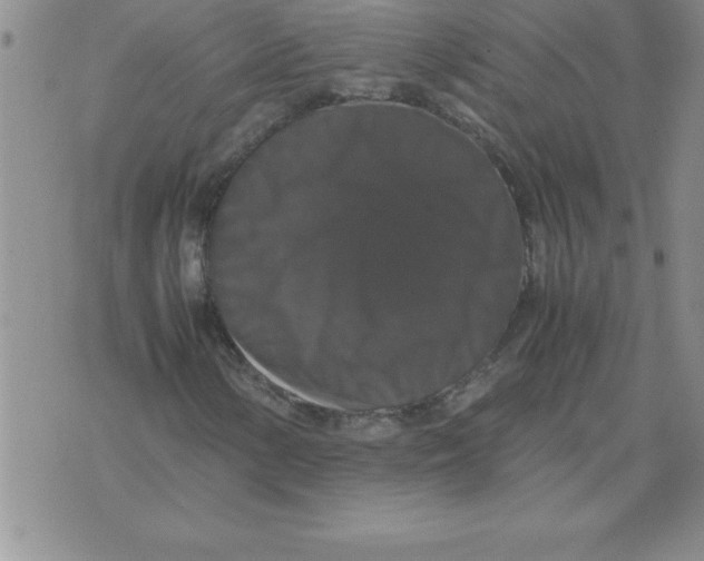 X0000071761154200607282141