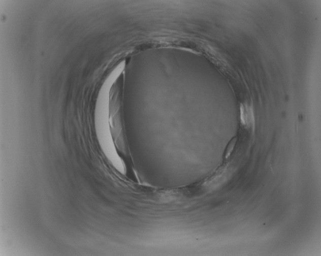 X0000071761155200607282141