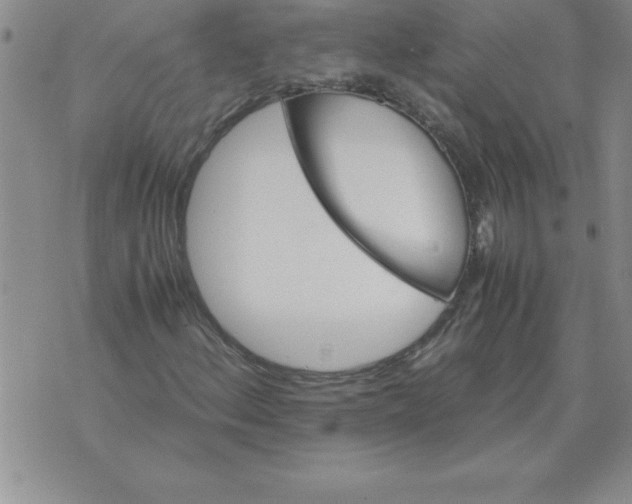 X0000071761156200607282141