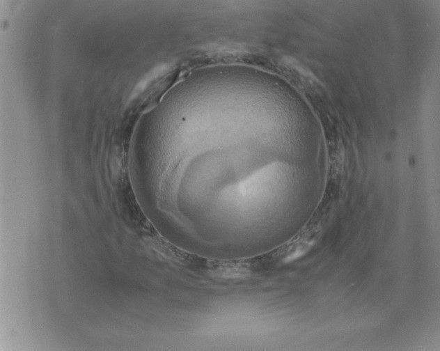 X0000071761157200607282140