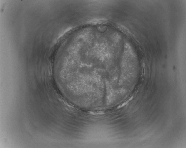 X0000071761158200607282140