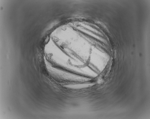 X0000071761159200607282140