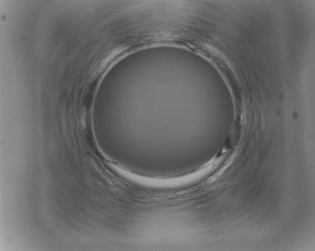 X0000071761161200607282140