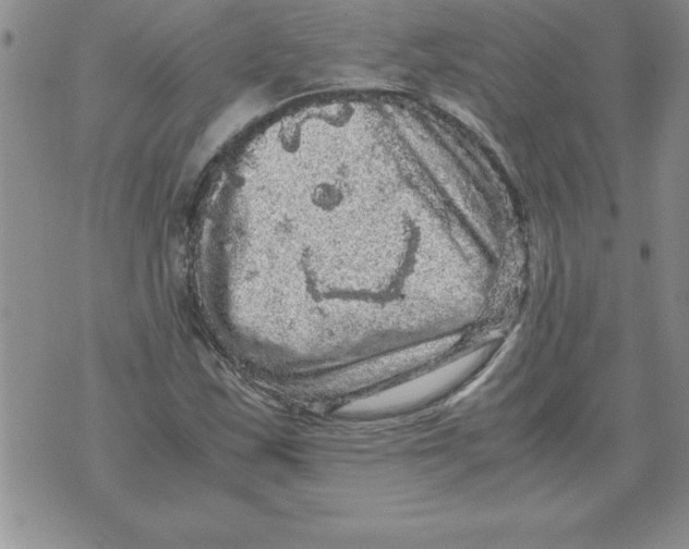 X0000071761163200607282140