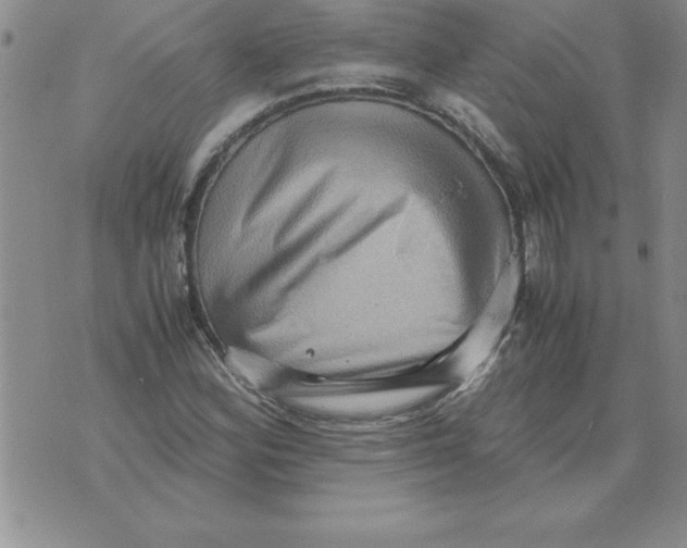 X0000071761164200607282140