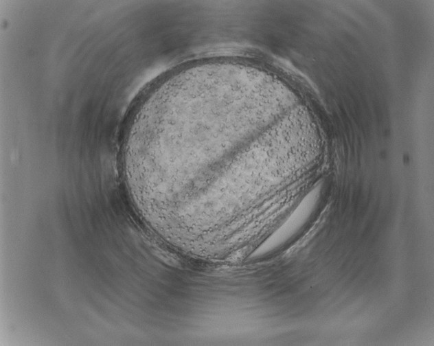 X0000071761166200607282140