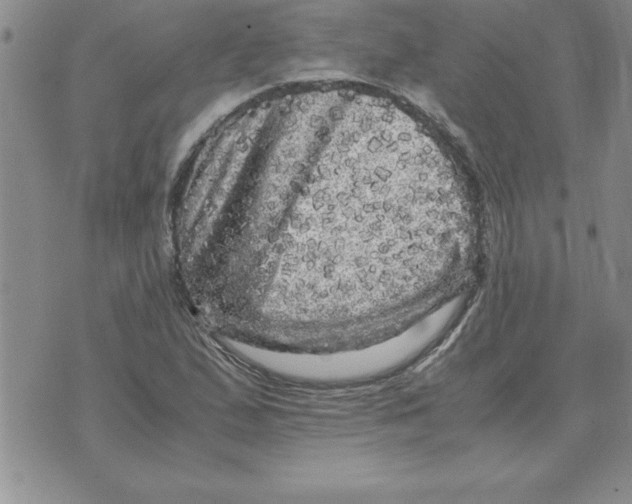 X0000071761167200607282140