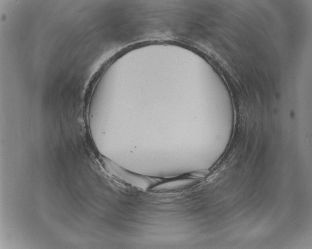 X0000071761168200607282140