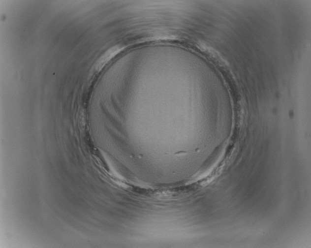 X0000071761169200607282140