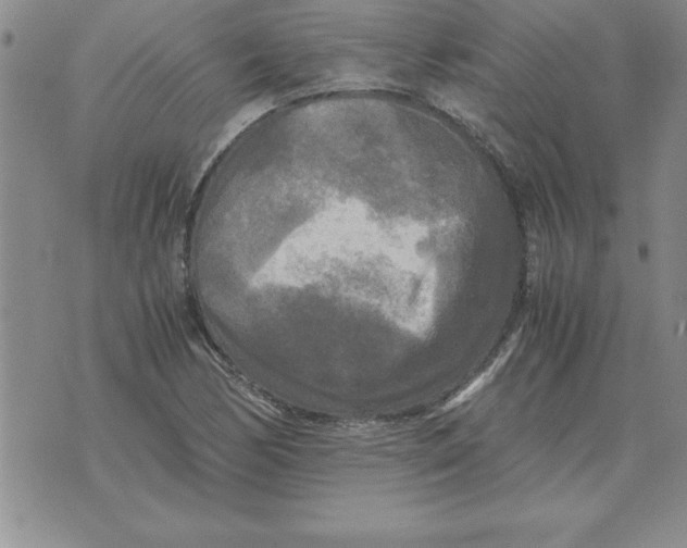 X0000071761170200607282140