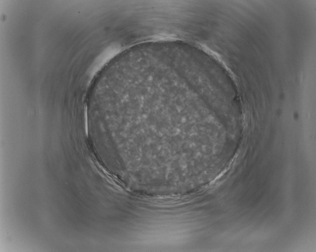 X0000071761171200607282140