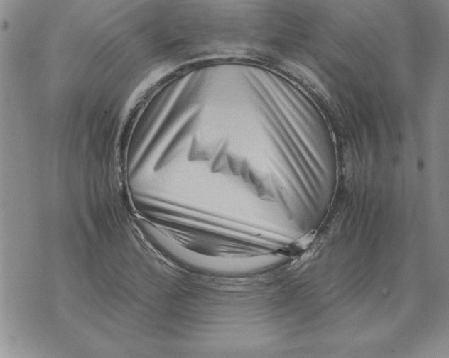 X0000071761172200607282140