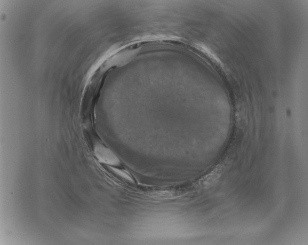 X0000071761173200607282140