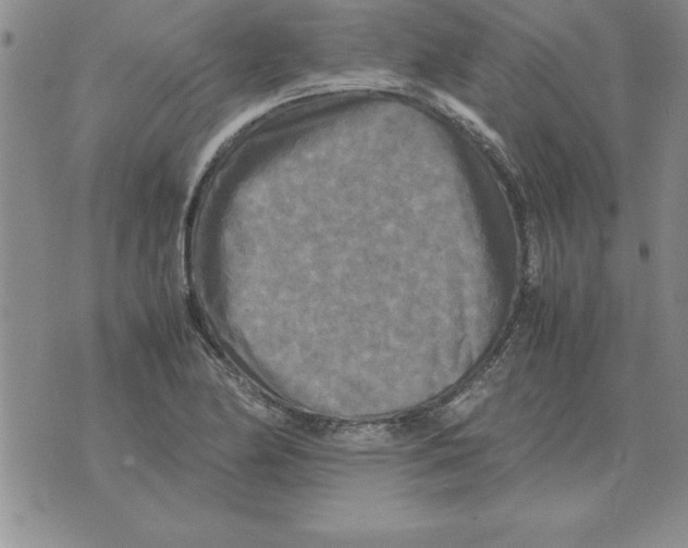 X0000071761174200607282140