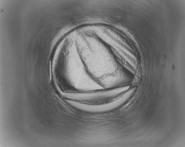 X0000071761175200607282140