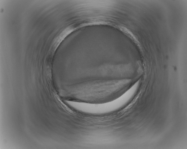 X0000071761177200607282140