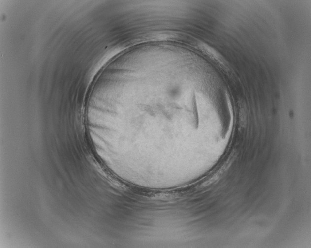 X0000071761178200607282140