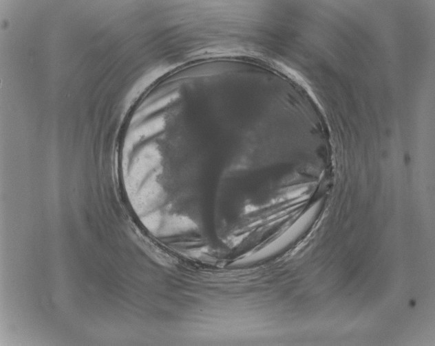 X0000071761179200607282140