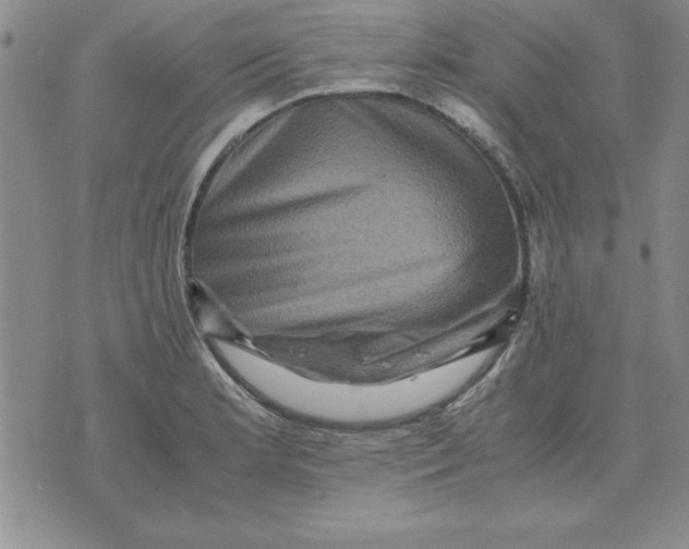 X0000071761181200607282140