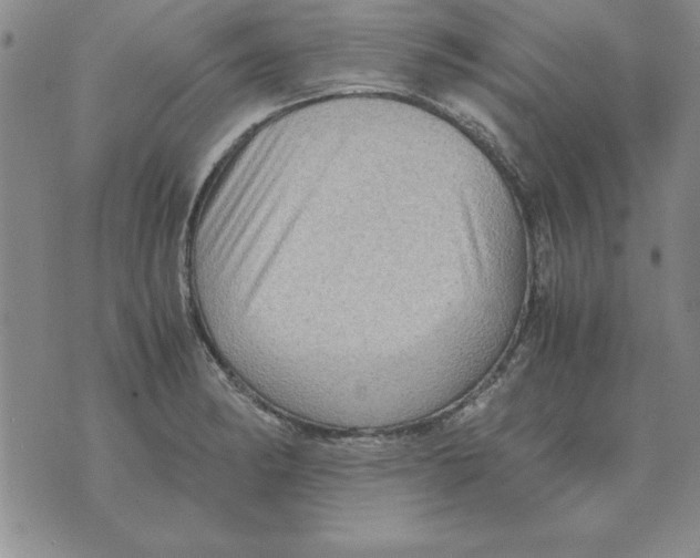 X0000071761182200607282140