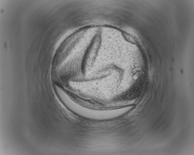 X0000071761183200607282140