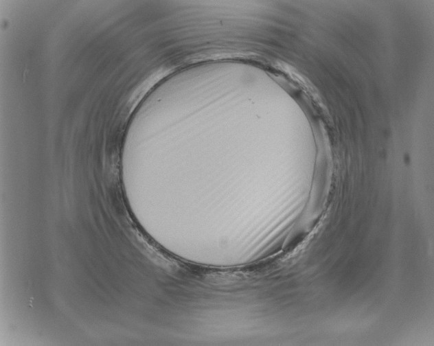 X0000071761185200607282140