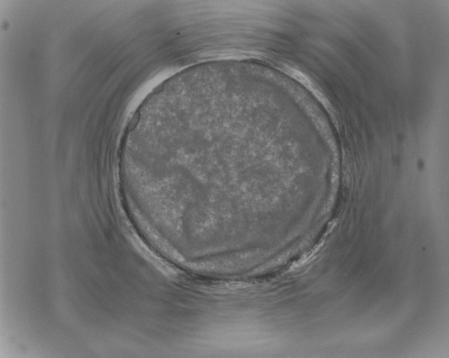 X0000071761187200607282140