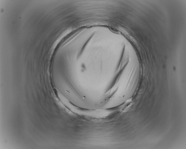 X0000071761189200607282140