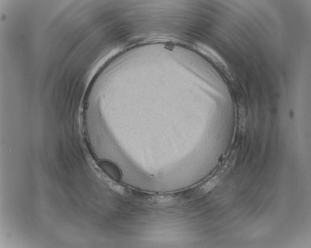 X0000071761190200607282140