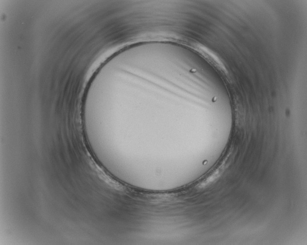 X0000071761192200607282140