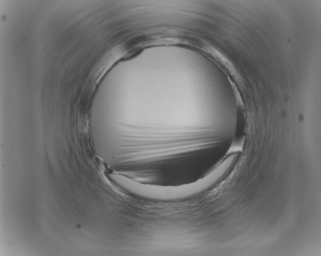 X0000071761193200607282140