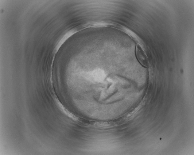 X0000071761194200607282140