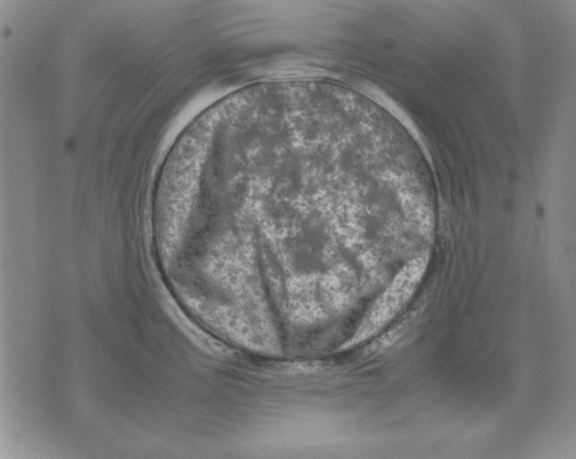 X0000071761195200607282140