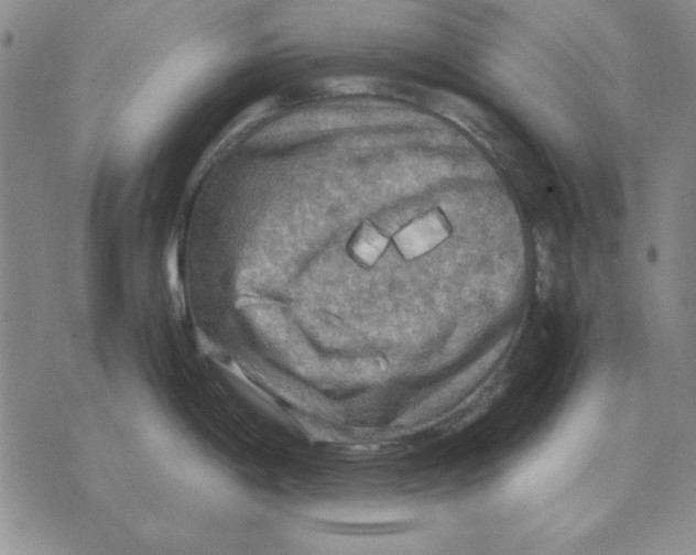 X0000071761198200607282140