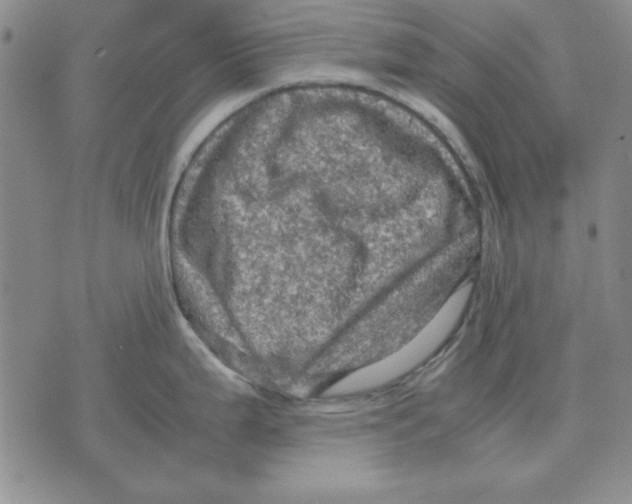 X0000071761199200607282140