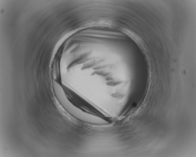 X0000071761200200607282140