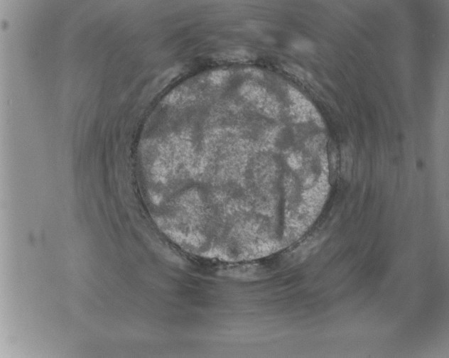 X0000071761201200607282139