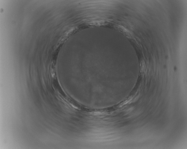 X0000071761202200607282139