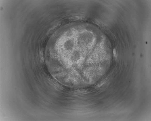 X0000071761203200607282139