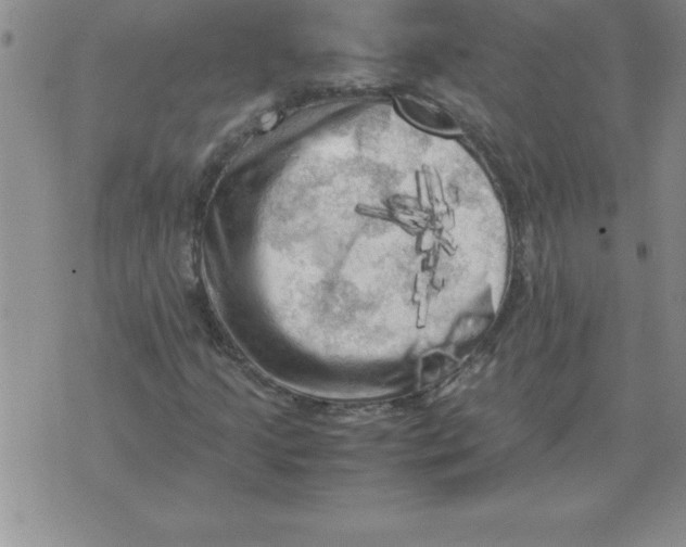 X0000071761205200607282139