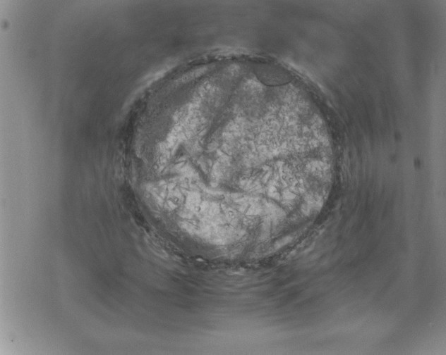 X0000071761207200607282139