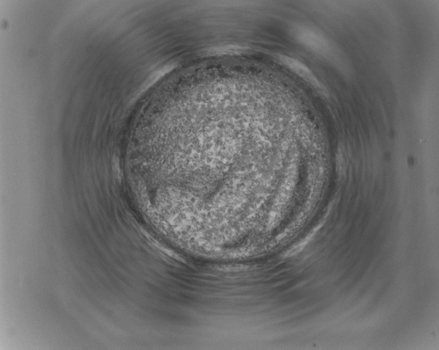 X0000071761209200607282139