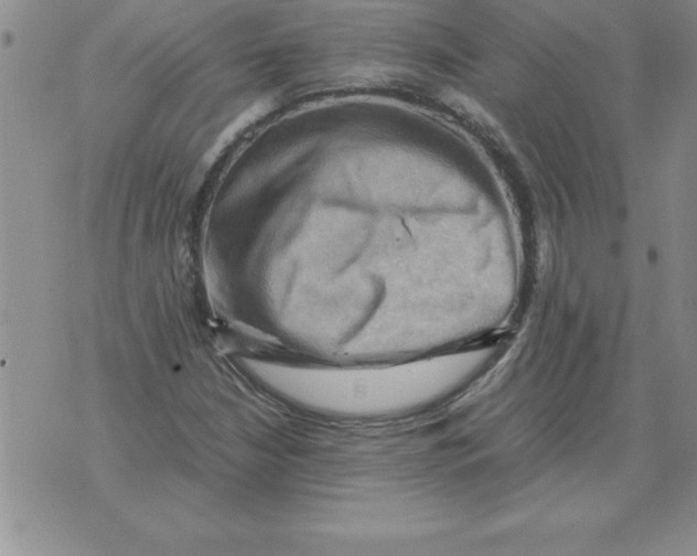 X0000071761210200607282139