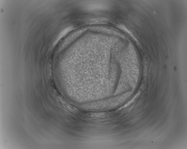 X0000071761211200607282139