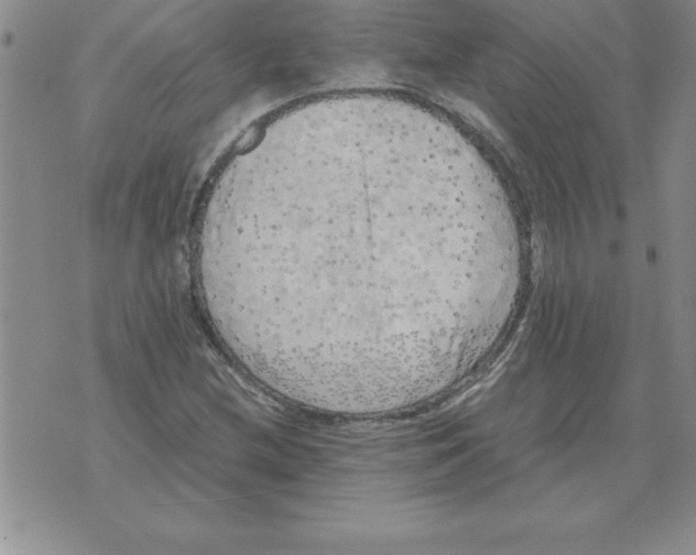 X0000071761212200607282139